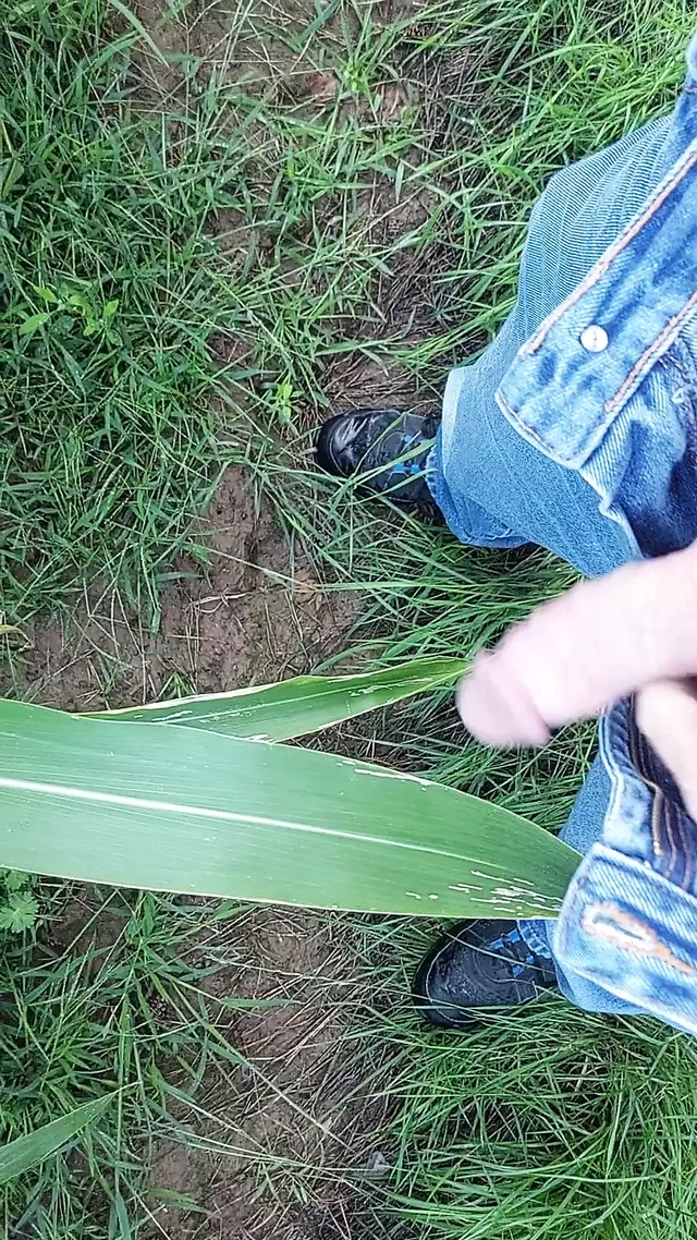Walking outdoor, getting horny and jerk off on a corn leaf