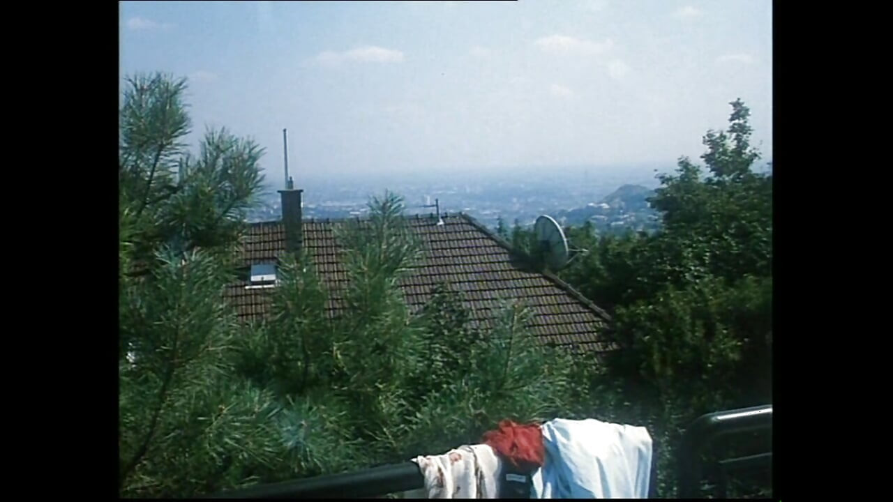 Vulgaire Cochon Fantaisiste (film)