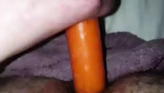 havuç