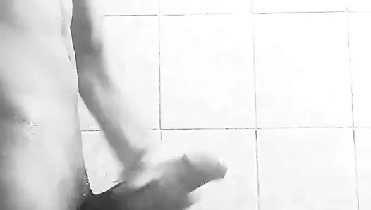 Hintli büyük lund Delhi'de