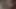 BBW lässt ihn mit einem Strapon kommen