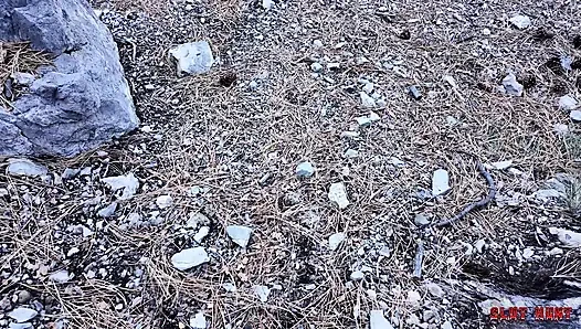 Slut Hunt Ep.7 Xxlayna's Holes Get Exploited