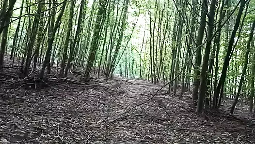 Outdoor in the forest snotted
