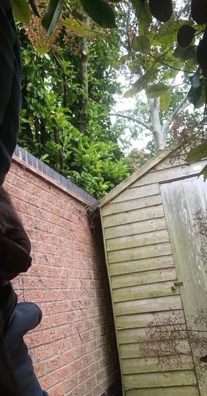 More pissing in the garden.