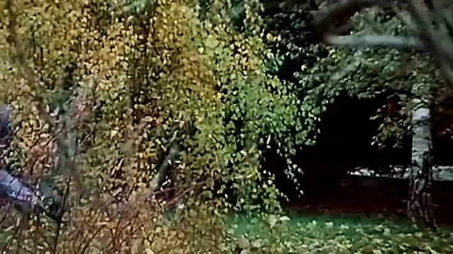 Everything Goes - 70s