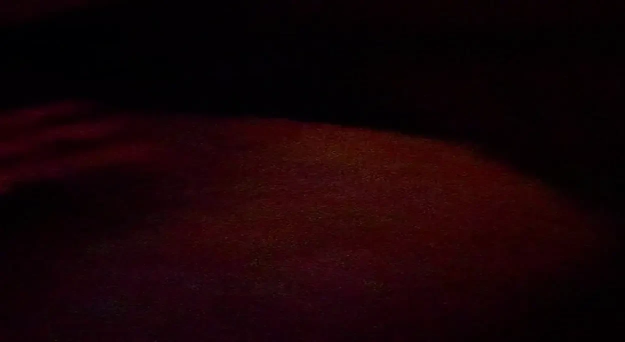 Sex in the Dark