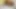 Bodwave Late Night Sneaky Link