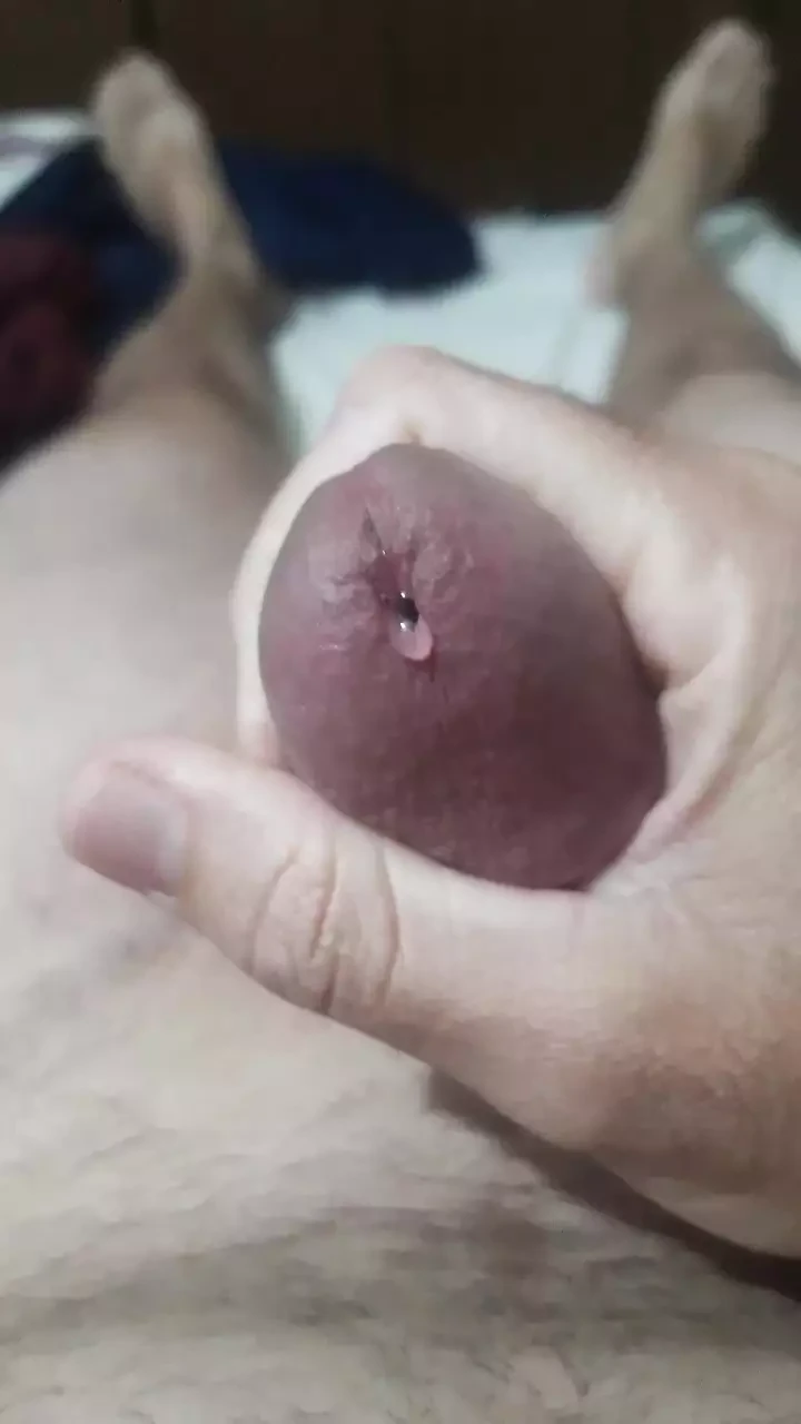 Impresionante, a primera hora de la mañana una buena paja