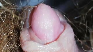 Riesige pulsierende Klitoris