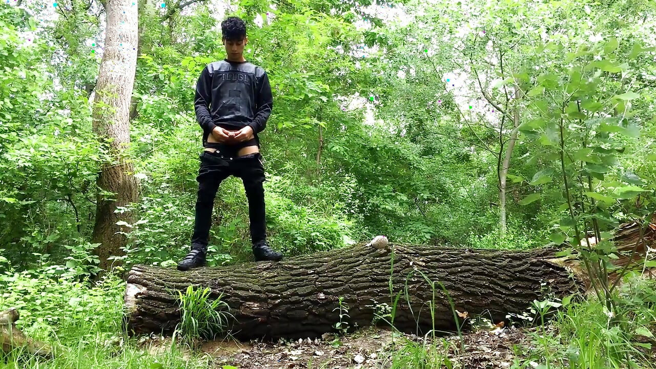 Piss From a Tree Trunk