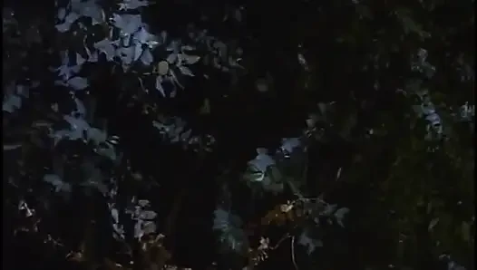 Azgın hatun açık havada büyük bir direk amına girerken inliyor