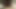 茶髪のミルフがひざまずき、彼の小さくて哀れなペニスを吸っている