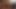 ストレート・フォー・ペイ アレックス・グリフィンがタイラー・タッツとセックス