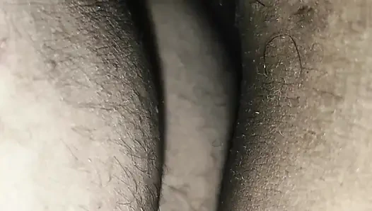 Dasi Bengalli babhi anil sikişiyor