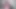 SNAKE CROSSDRESSER MASTURBATING CUTE COCK IN FRONT OF THE CAMERA AS HOMEMADE PRETTY FEMBOY AND AMATEUR MODEL SISSY MTF