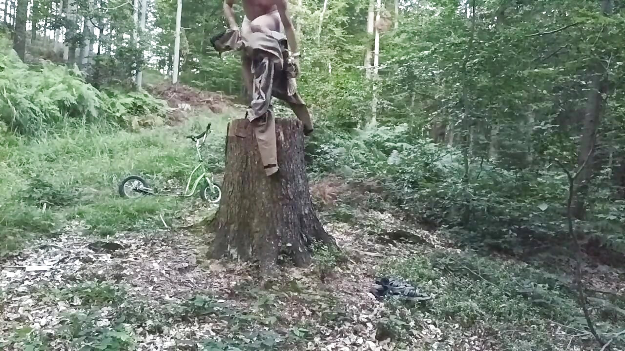 Stump Chase, Part One