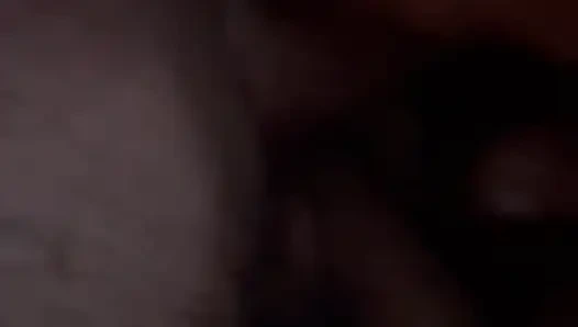 Pug anal, disetubuhi