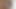役立たずのチンコ