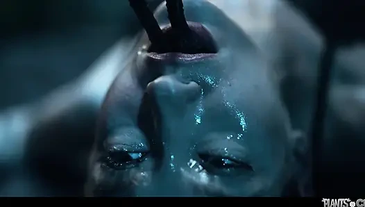 Pflanzen gegen fotzen vol. 11