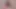 Wowgirls – sevimli kiraz erkek arkadaşının onu becermesine izin veriyor