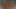 Murica3D Hot 3d Sex Hentai Compilation - 4