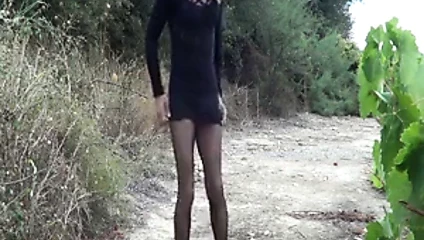 Açık ağ