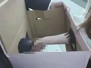 Cazzo in una scatola 02