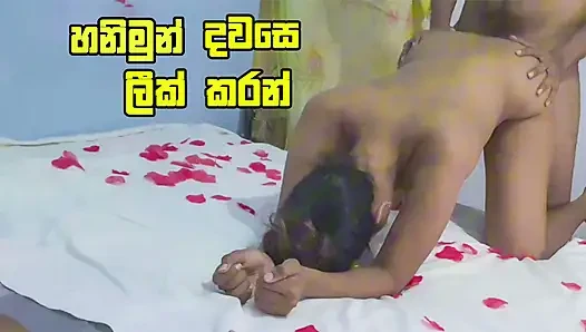 Beautiful sri lankan couple honeymoon Fuck