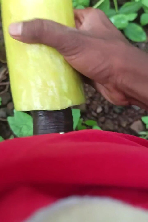 Desi Crna Zemlja