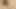 Finger-banging, creampie-loving Chika Horie demonstrates off her unshaved pussy and epic asian body - bitchy japanese!