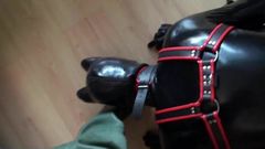 Rubberen puppy spelen in rubberen steltlopers