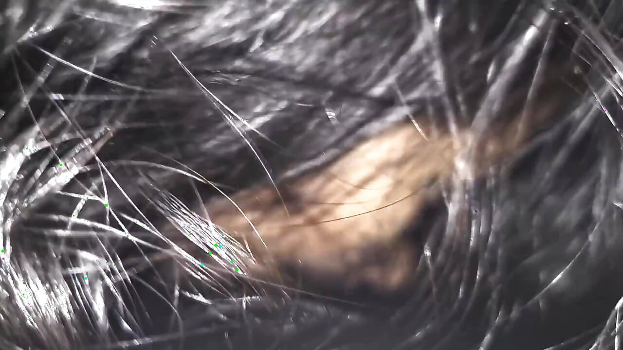 Only Suck No Fuck