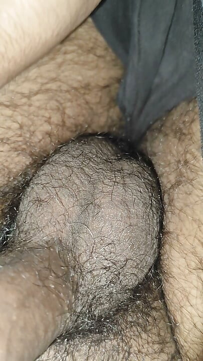 Indian penis