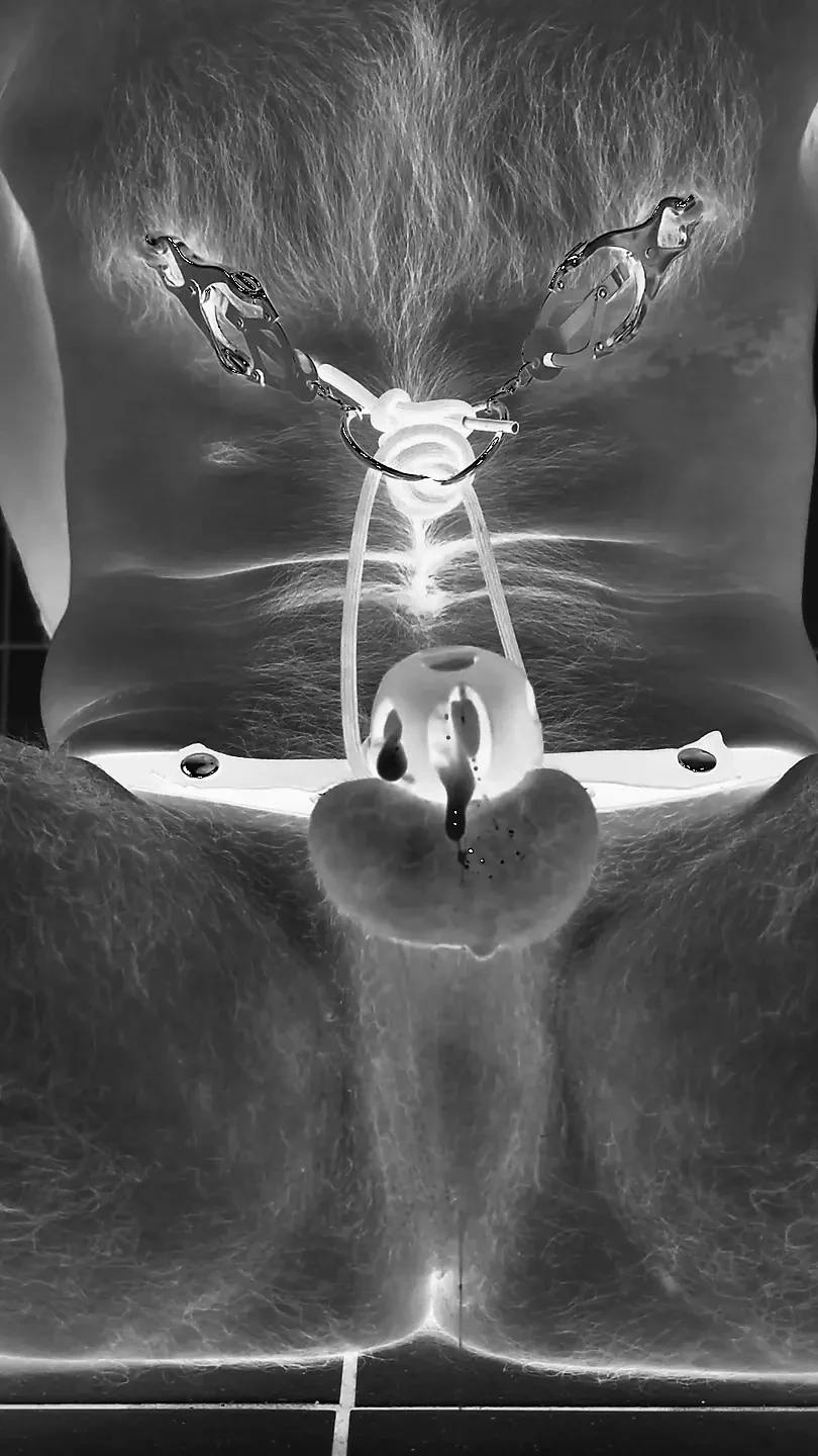 Múltiples orgasmos arruinados en la jaula de castidad con un tapón pene de 30 cm de largo