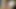 BU SARI ORUSBUDA YARRAK YALAYIB EMIYO AMA BU SONDA SIKDIRIYO