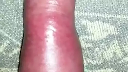 gepumpt 3