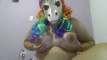Pregled videozapisa