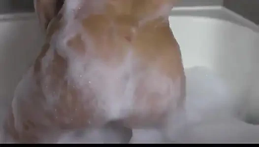 Bak mandi penuh dengan Booty W / Maria Mobile
