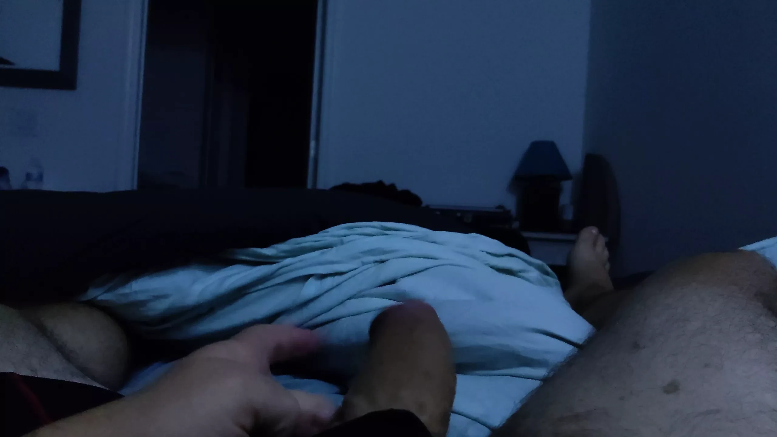 Tarikan larut malam