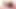 Essence - 3D Futanari Animation
