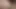 Taste Your Cum with Me