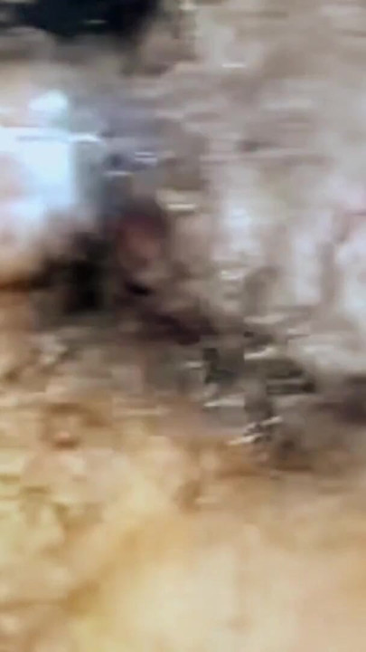 بهابي تتناك بقوة | مقطع 2