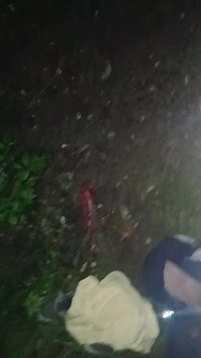 Hot night wank in the woods. What would you do if you came across me?