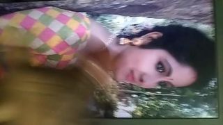 Mallu Serial acress hot coking tribute