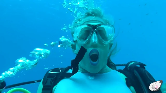 Alone Time in Bonaire