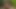 Hot sex games, erotic blowjob, two typen in varnish and leather