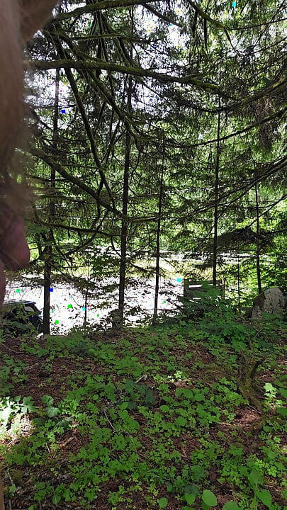 Exploring A Side Trail