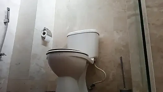 Various toilet scenes