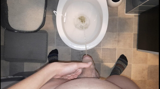 Junger Boy wixxt seinen Schwanz und pisst in die Toilette