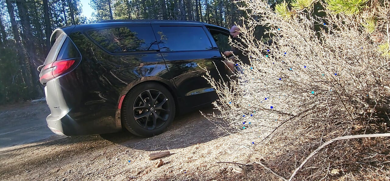 Roadside Suck & Fuck with Riley & Logan